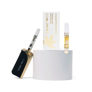 THCa Vape Starter Kit Saber