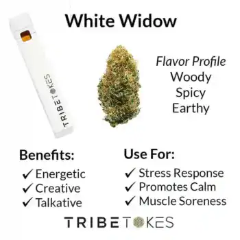 White Widow (Hybrid) Live Resin THCa Disposable Vape