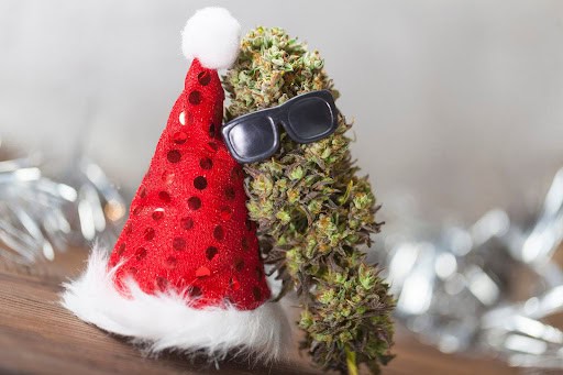 THCA cannabis flower bud with sunglasses and red Santa hat, showcasing festive cannabis culture.