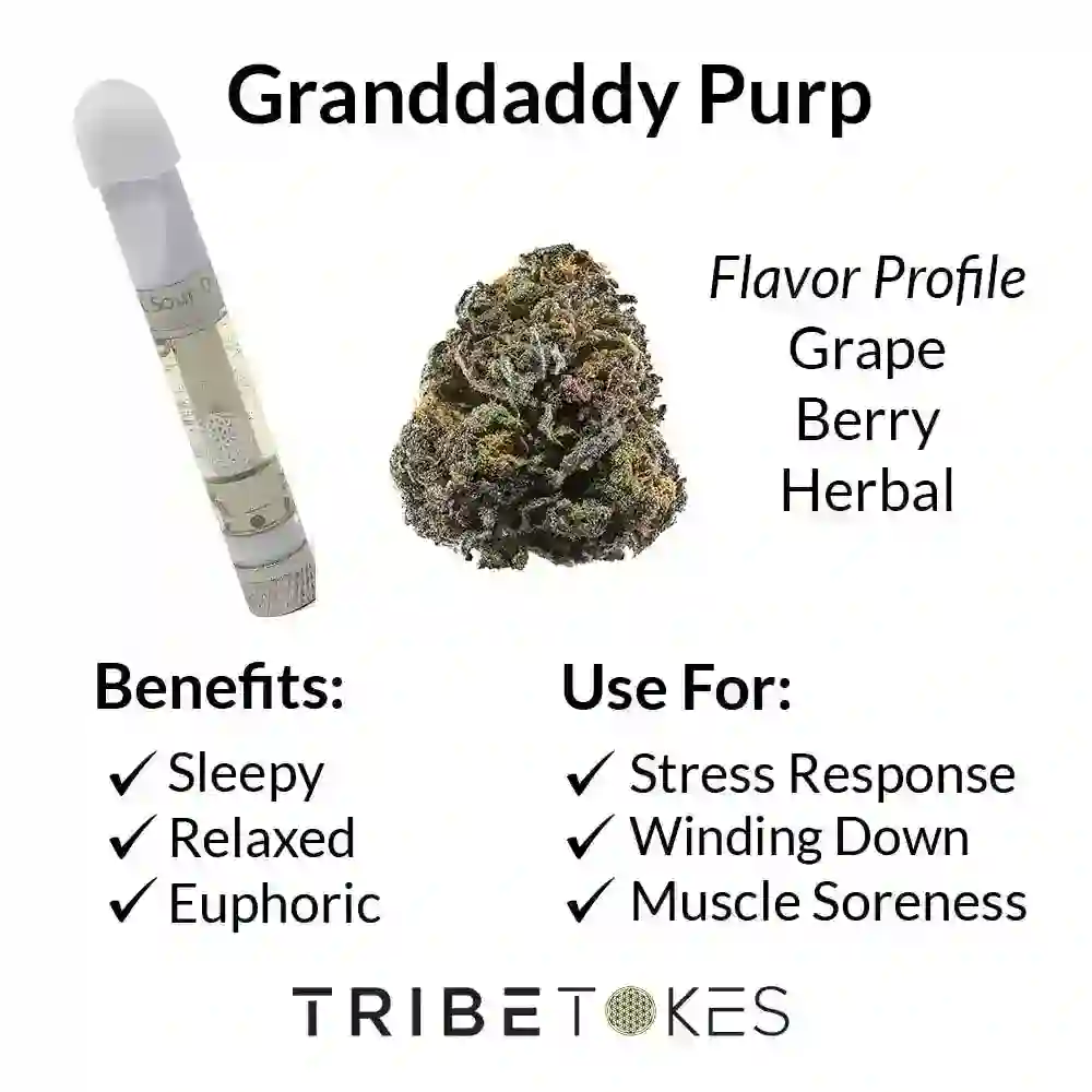 Granddaddy-Purp-Strain-Profile-1