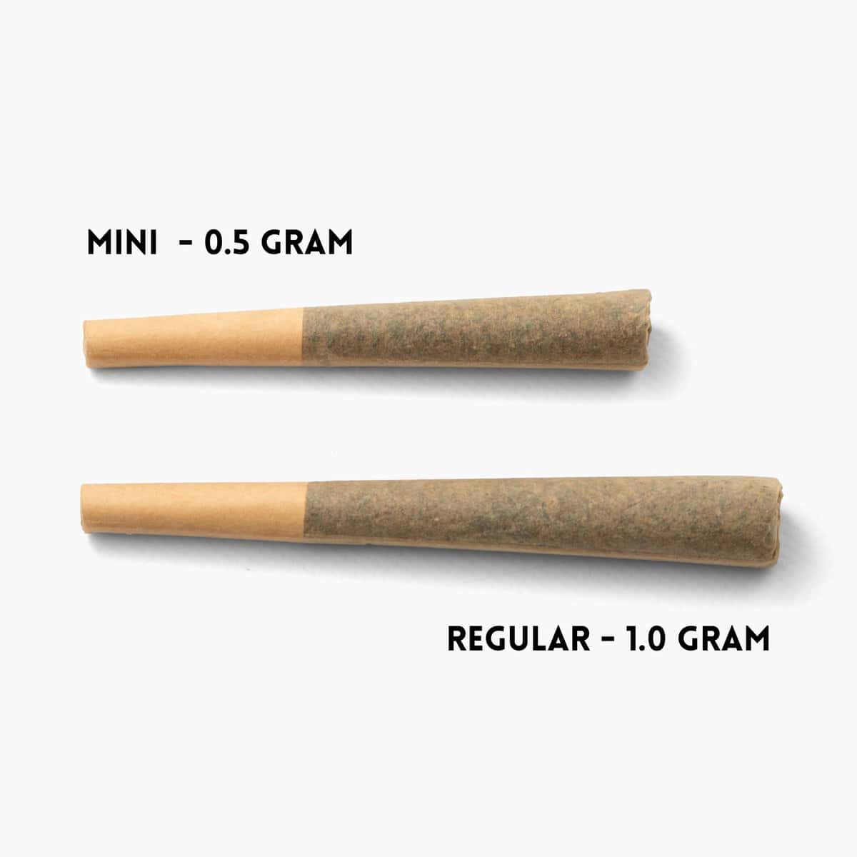 Regular Vs. Mini Prerolls