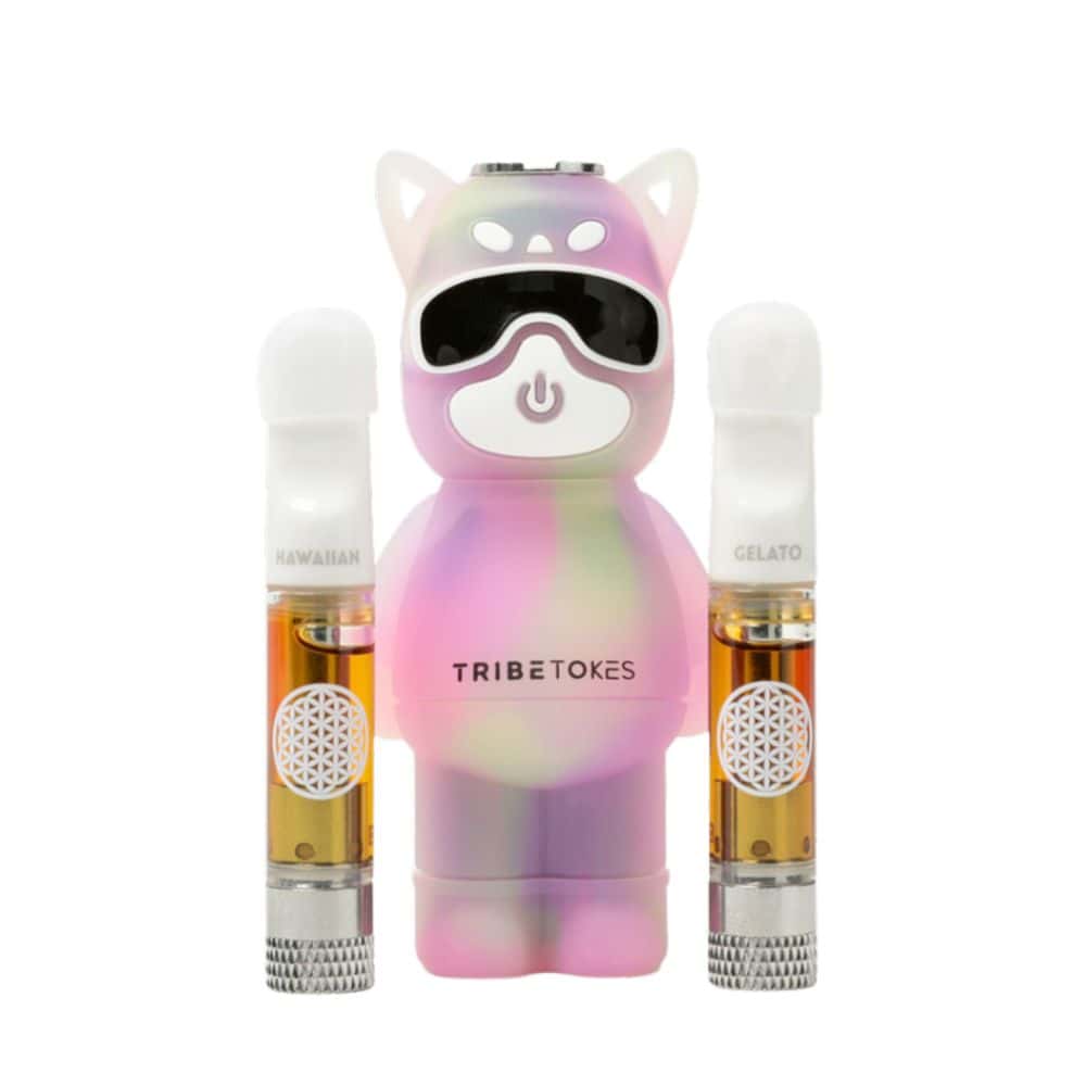 Kitty Starter Kit 2 Carts