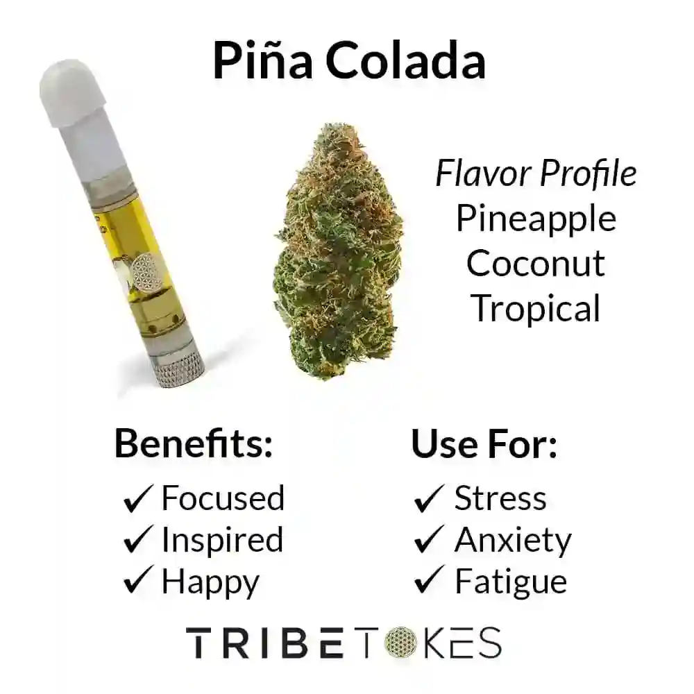 Pina-Colada-Strain-Profile