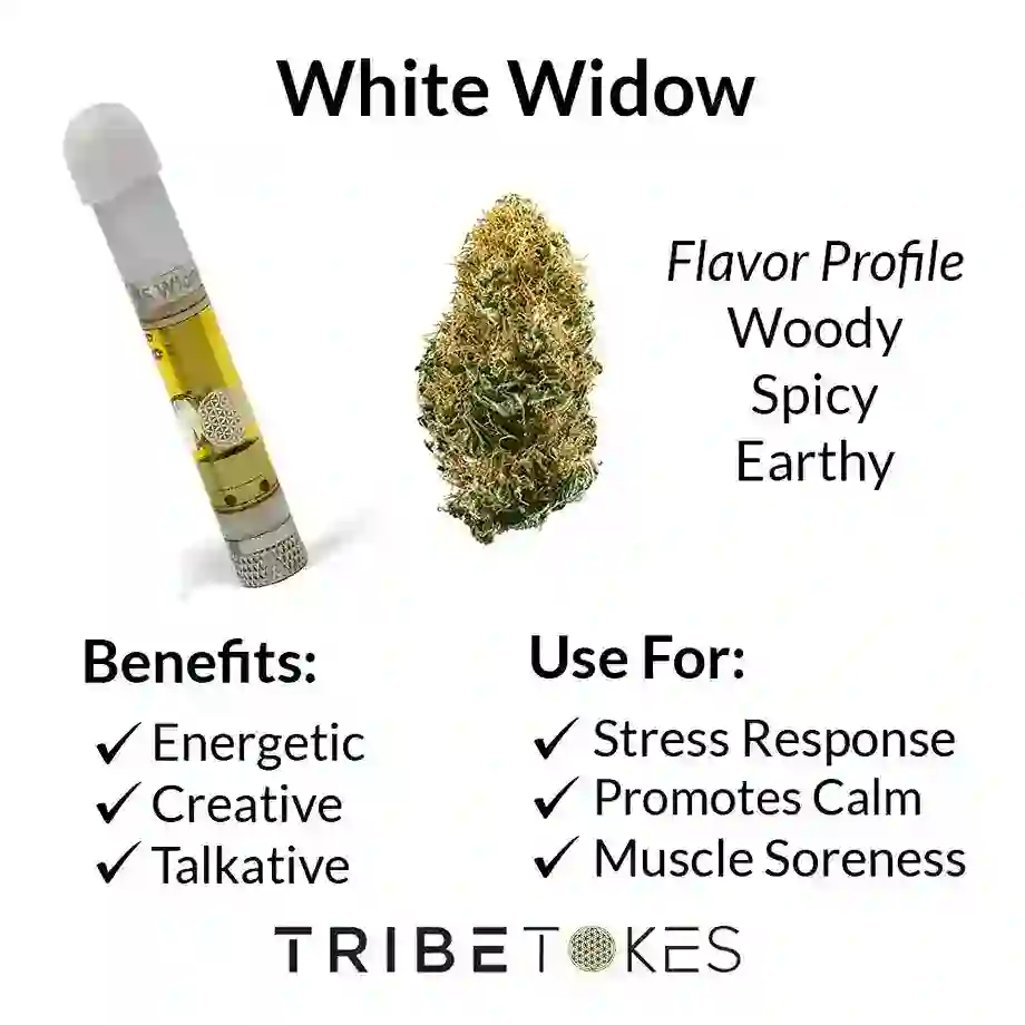 White-Widow-Strain-Profile