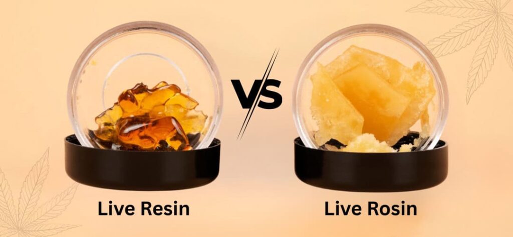 Live Resin vs Live Rosin