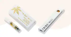 thca-vape-cartridges-vs-disposables