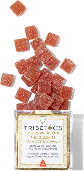 hi_res-40-TribeTokes-LLC_r1_04E_9984-copy3