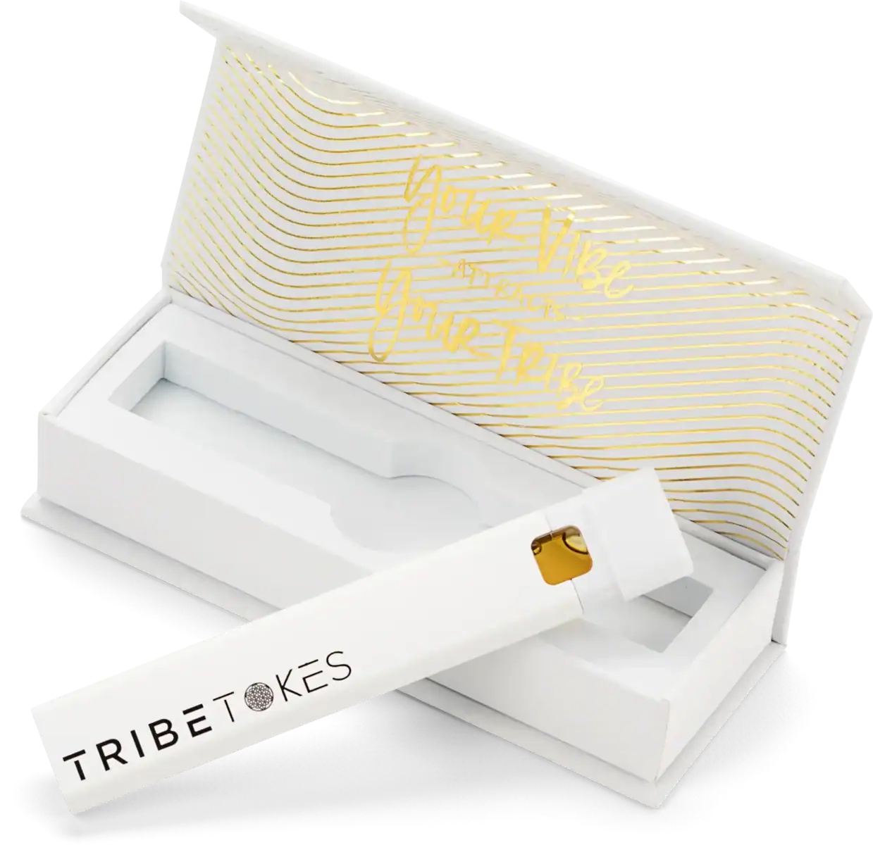 hi_res-6b-TribeTokes_r1_04B_5313-copy