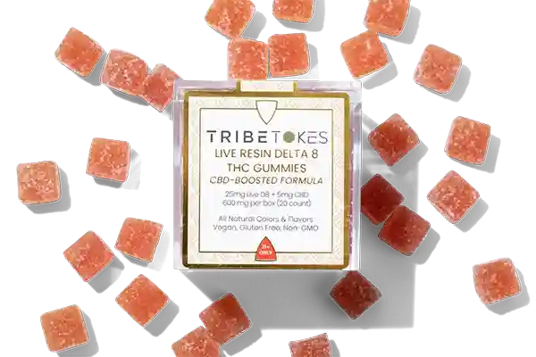 hi_res_44-TribeTokes-LLC_r1_04E_9979