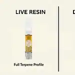 live-resin-vs-distillate_hero Updated