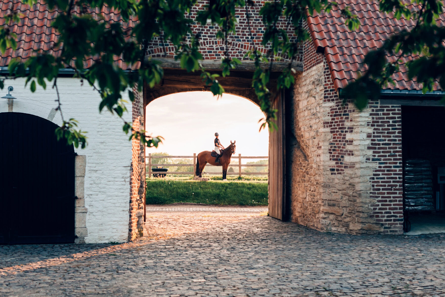 Person riding a horse through a stone archway into a sunny field.