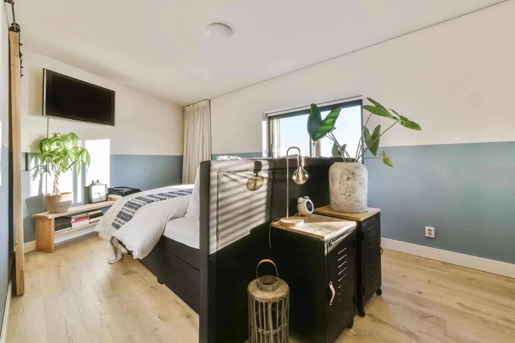 Modern bedroom with a bed, TV, plants, and natural light