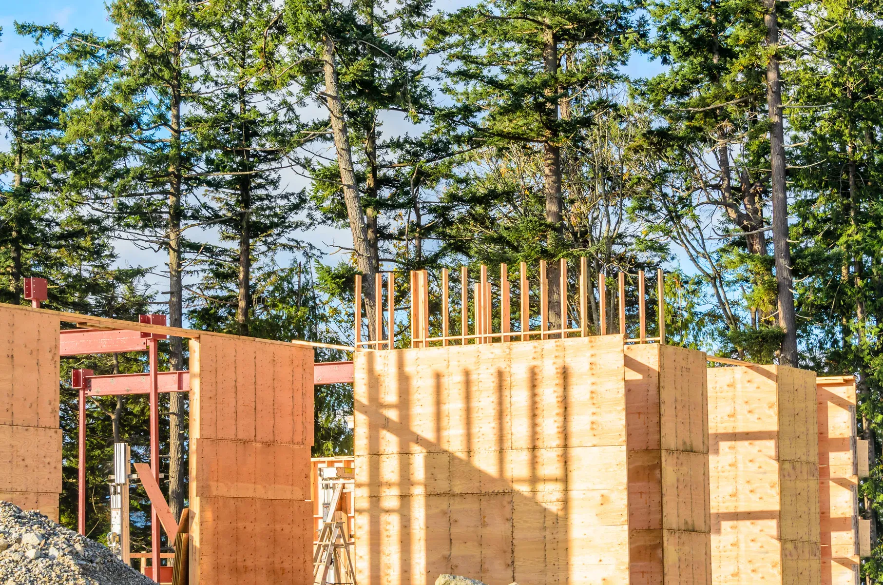 New house under construction with wood framing and tall evergreen trees.