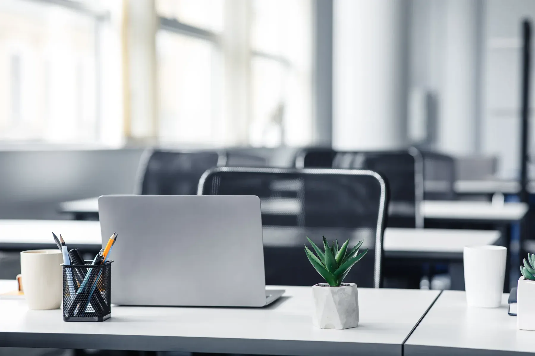 Laptop, plant, and office supplies on a desk in a modern office.