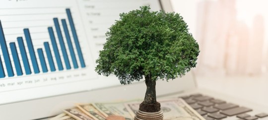 Tree growing on a pile of coins