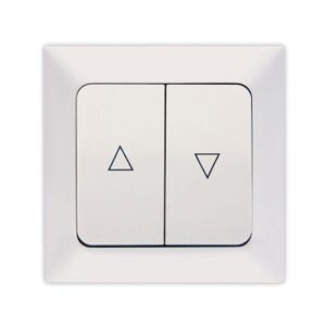 ΜΠΟΥΤΟΝ ΡΟΛΛΩΝ ΛΕΥΚΟΣ NE-AD