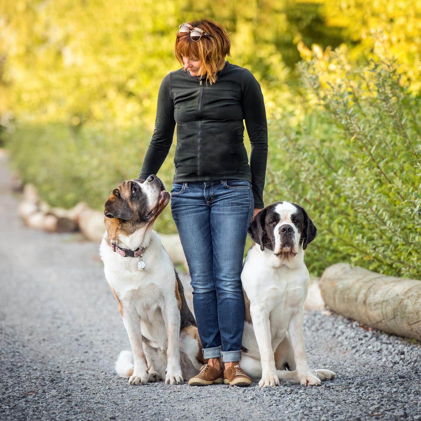 kim Learn Niagara pet photographer with two saint Bernards