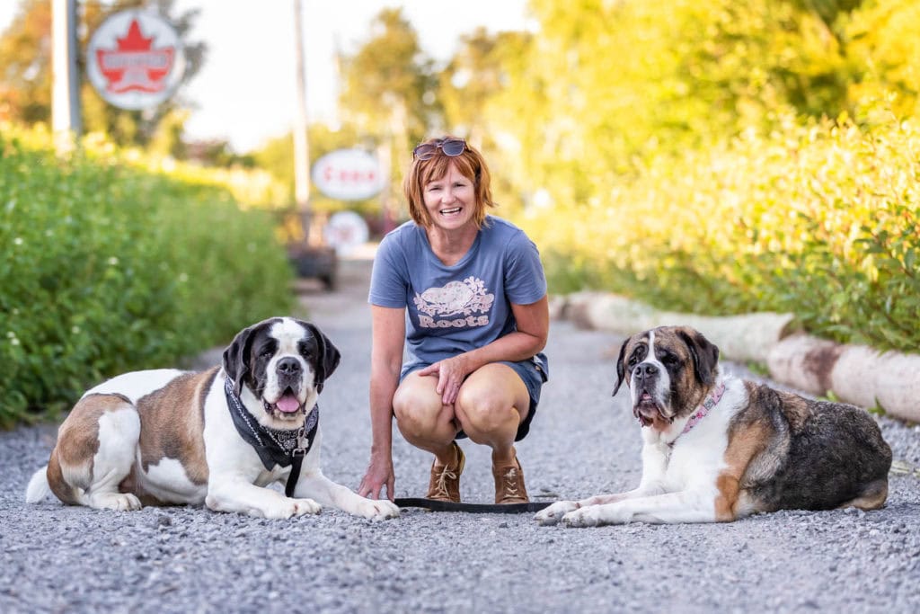 kim learn with her two St. Bernards