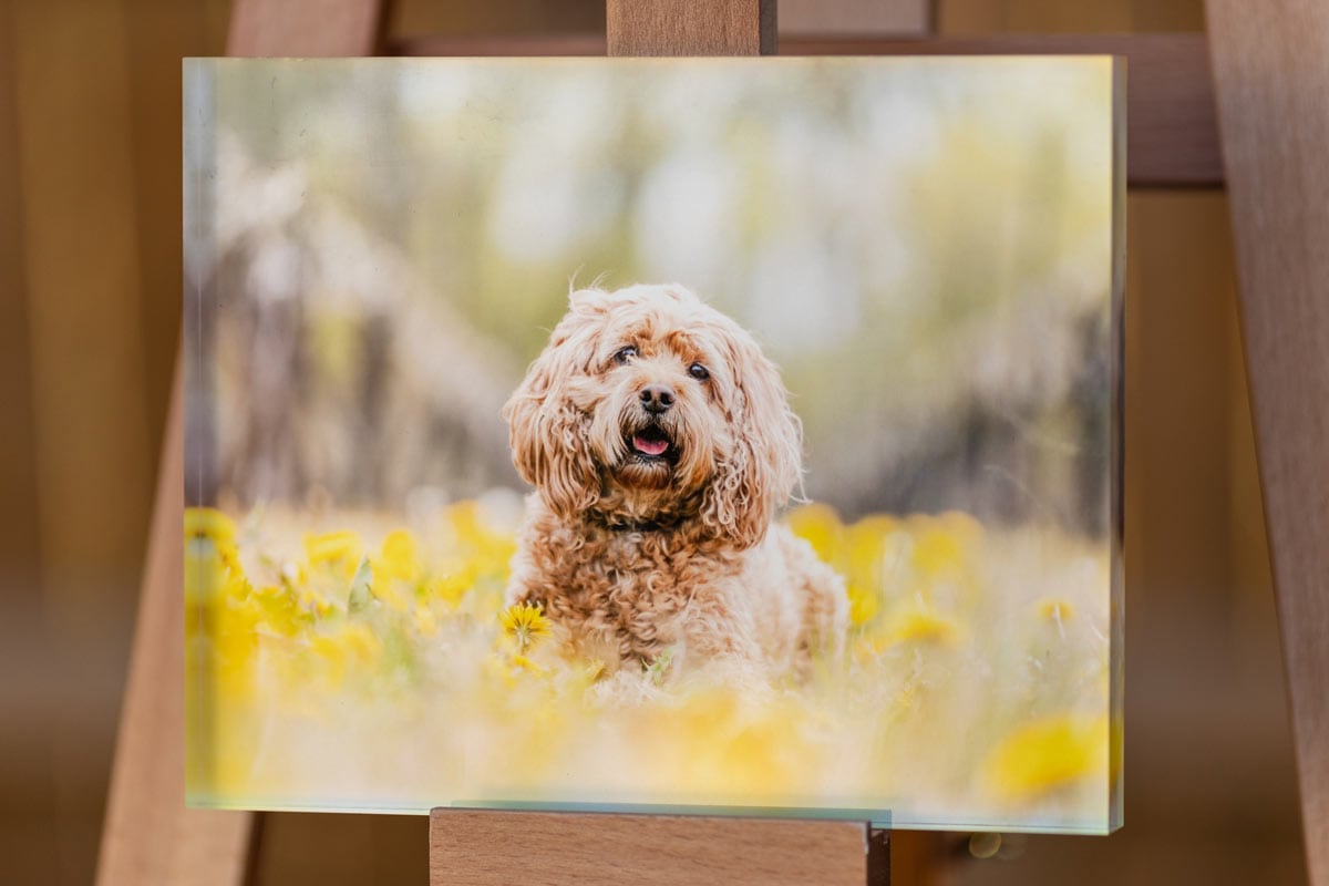 Acrylic block