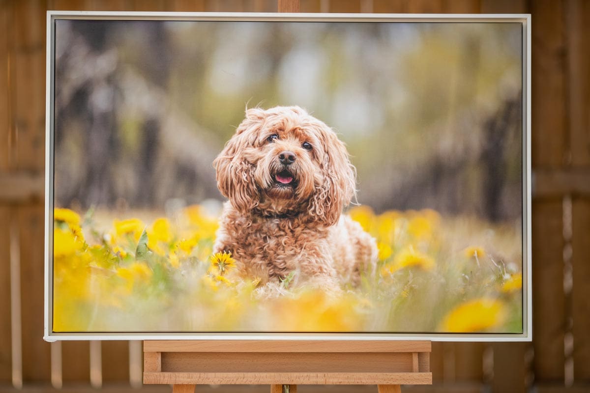 Canvas with floating frame