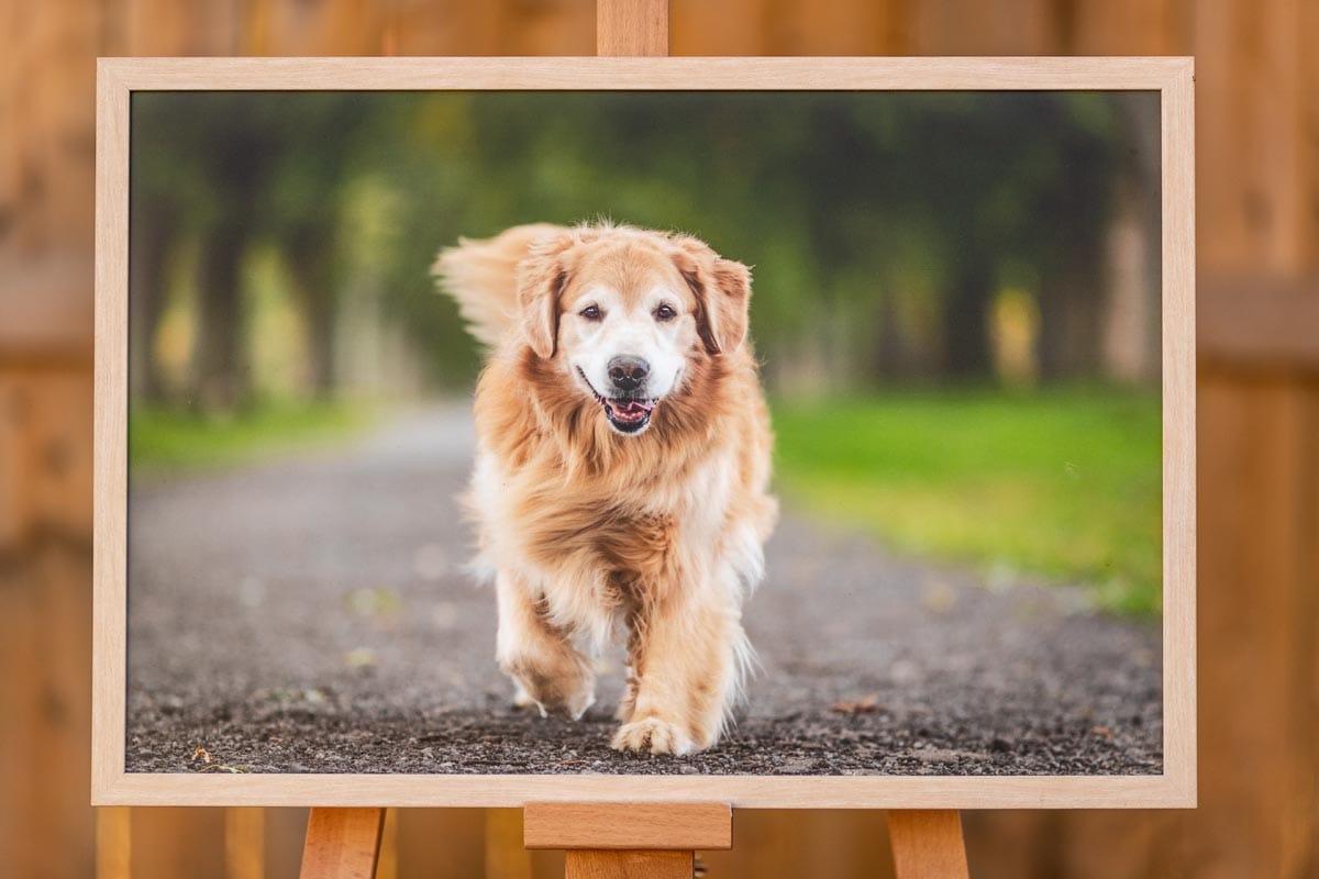 Print with simple frame