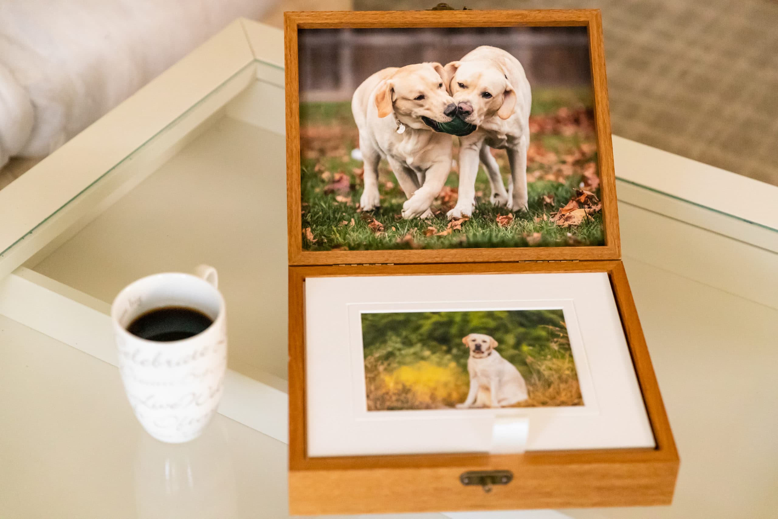 Portrait box 6