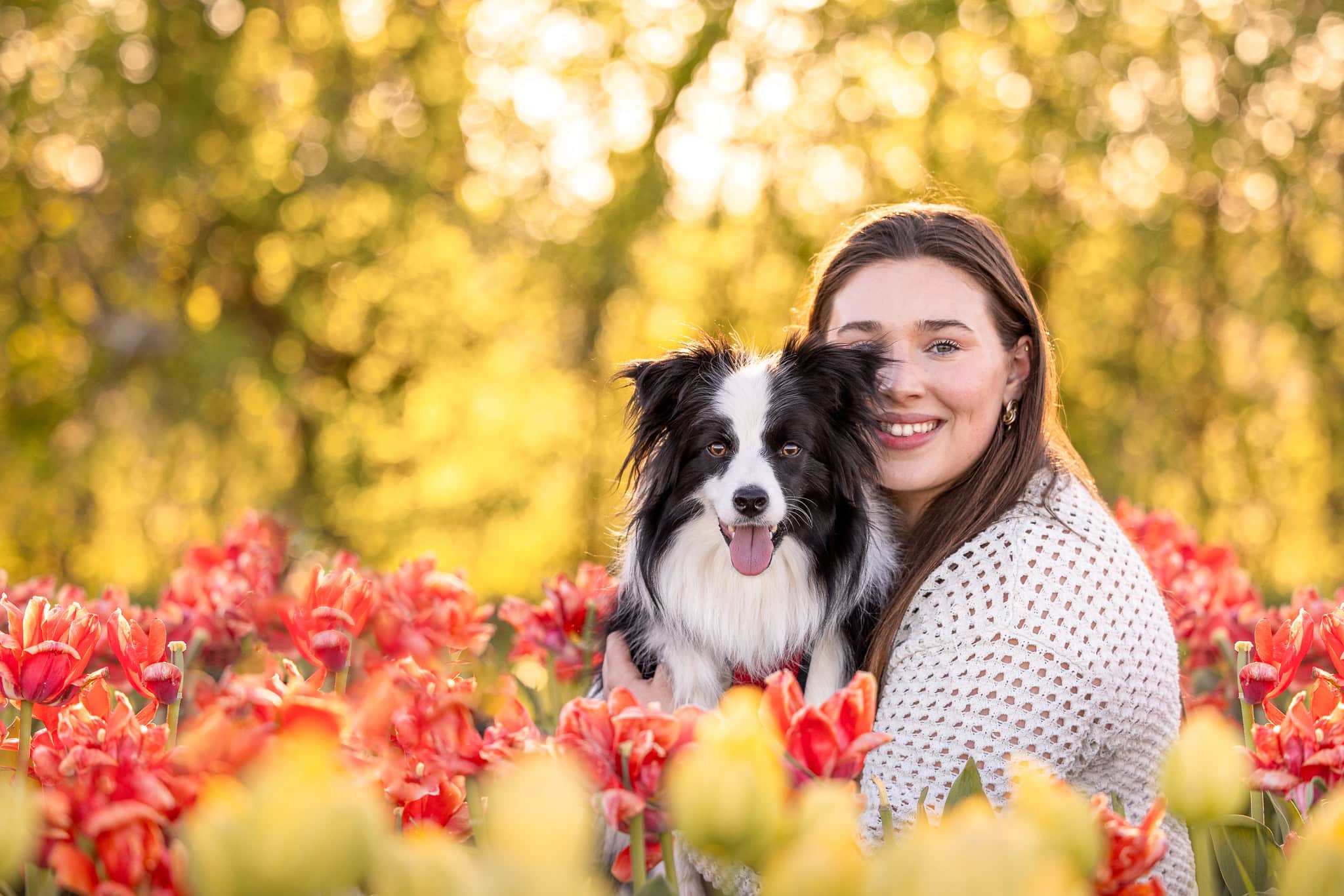 a boder collie and his person sitting amongst tulips at TASC tulip farm in ridgeville Onatrio
