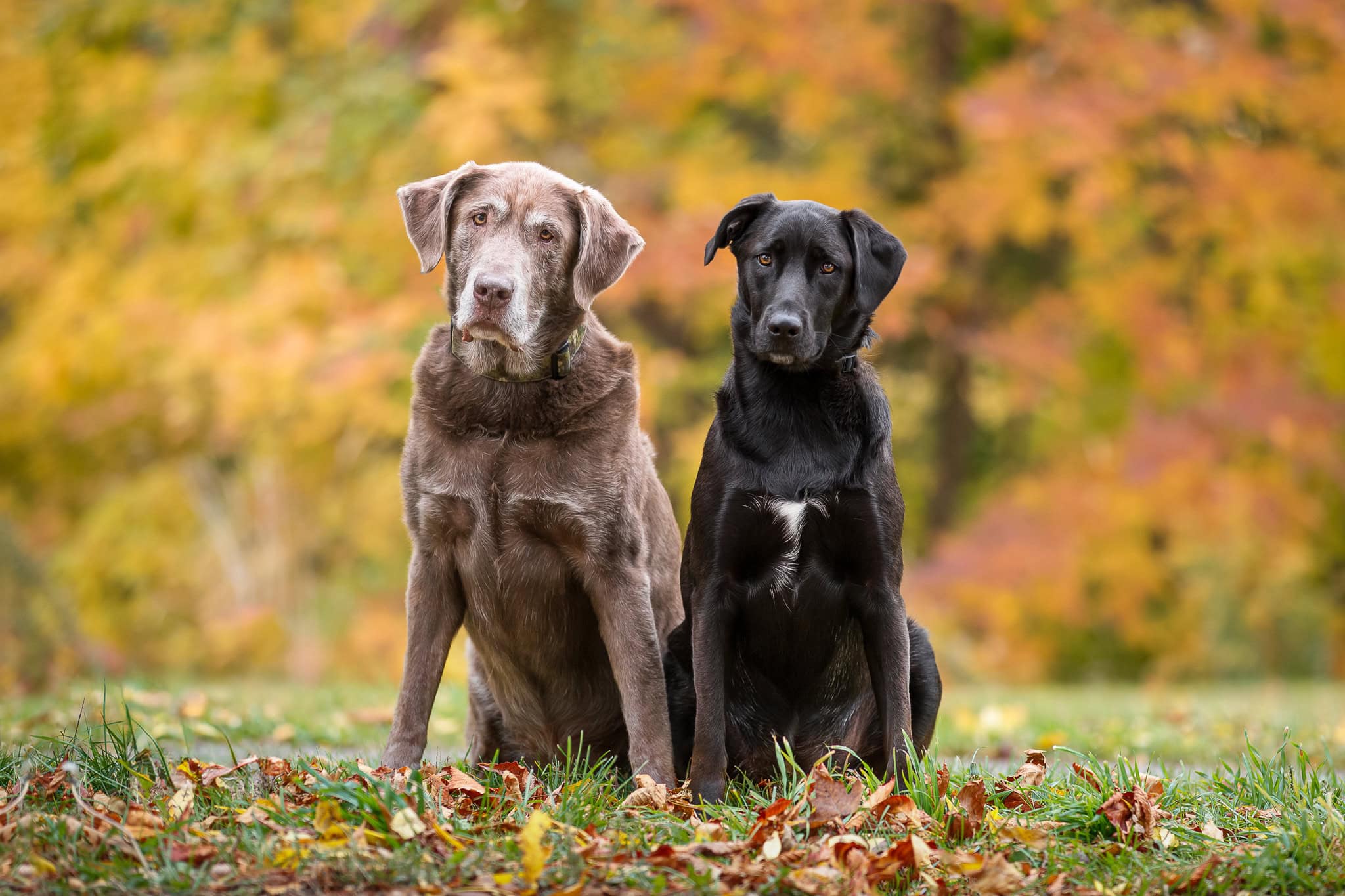 Two bums