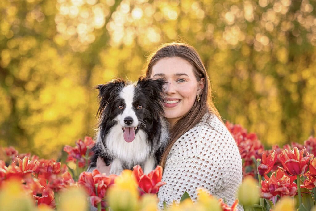 Lady and her dog sitting in a tulip field surrounded by red and yellow tulips and beautiful light at TASC tulip farm in Niagara on the Lake