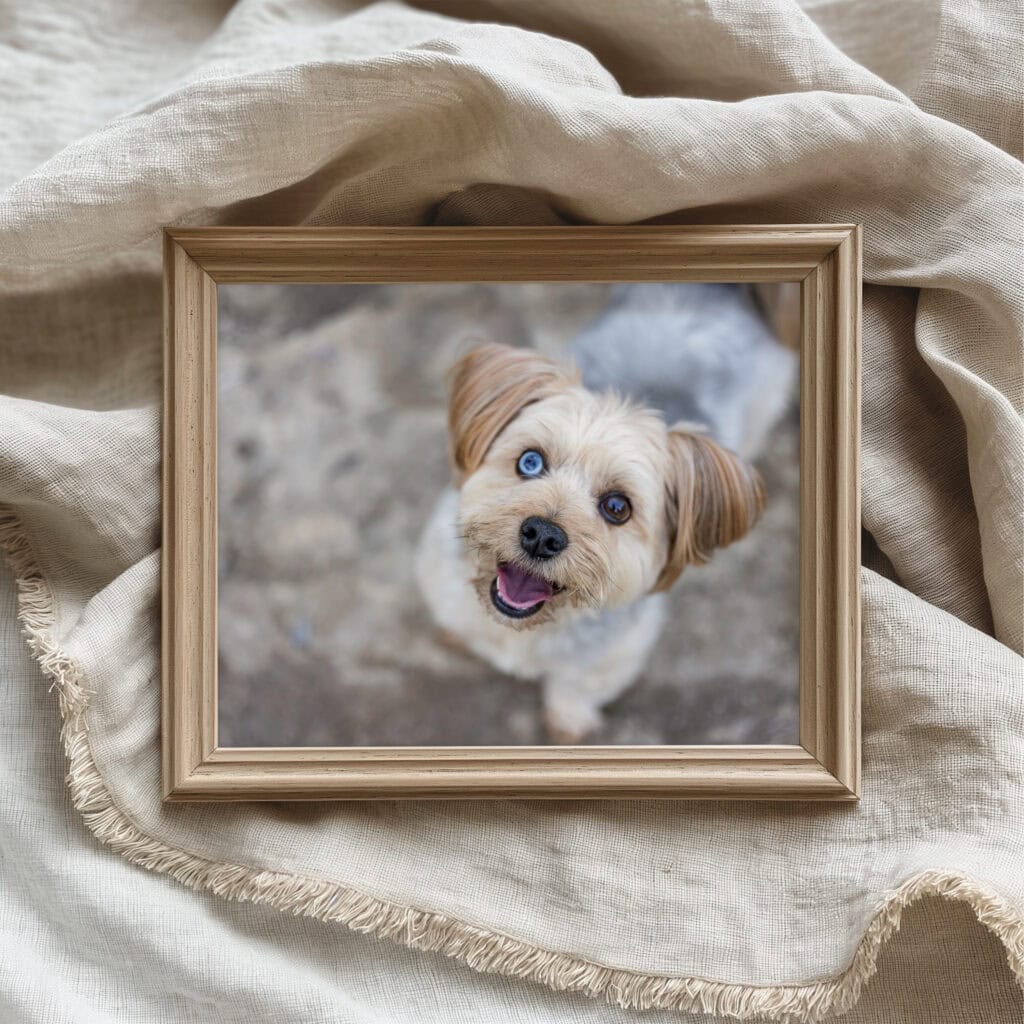 1. PSD Wood Frame Mockup