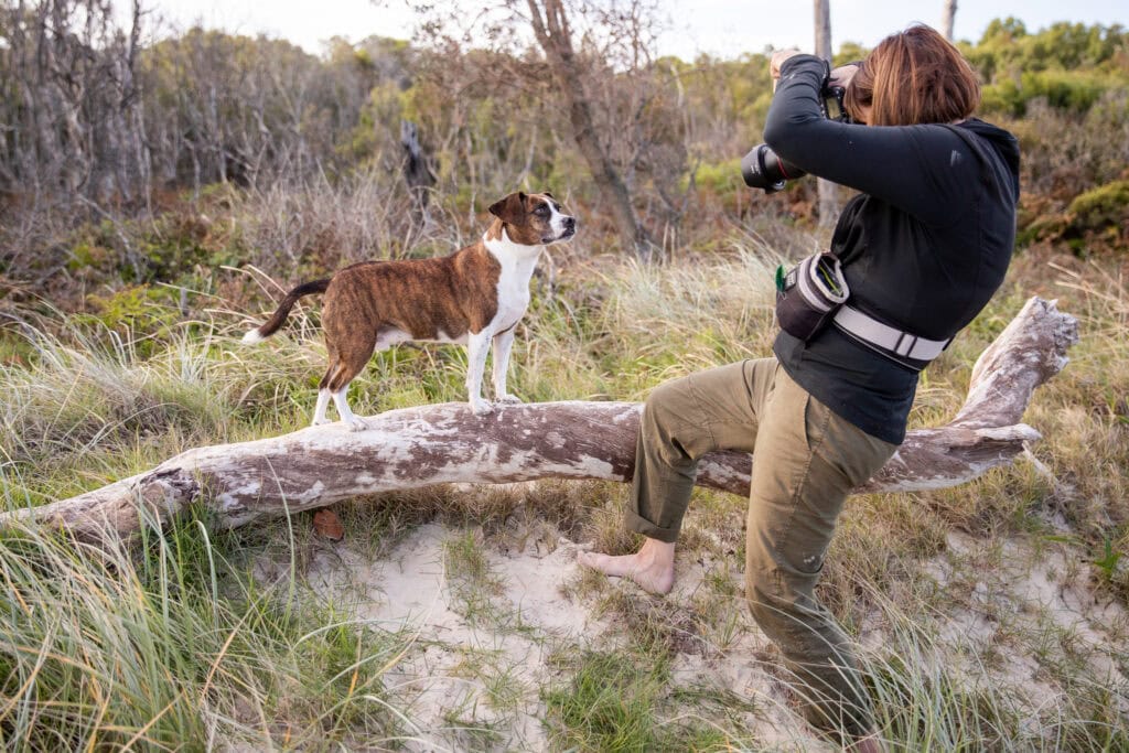 woman photographing a dog standing on log Niagara 