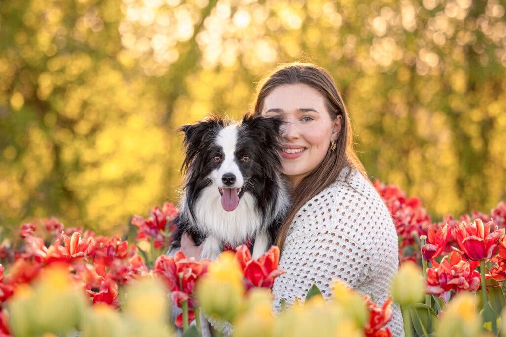 Woman and a border Collie sitting in red and yellow tulips at TASC tulip farm in Niagara on the Lake