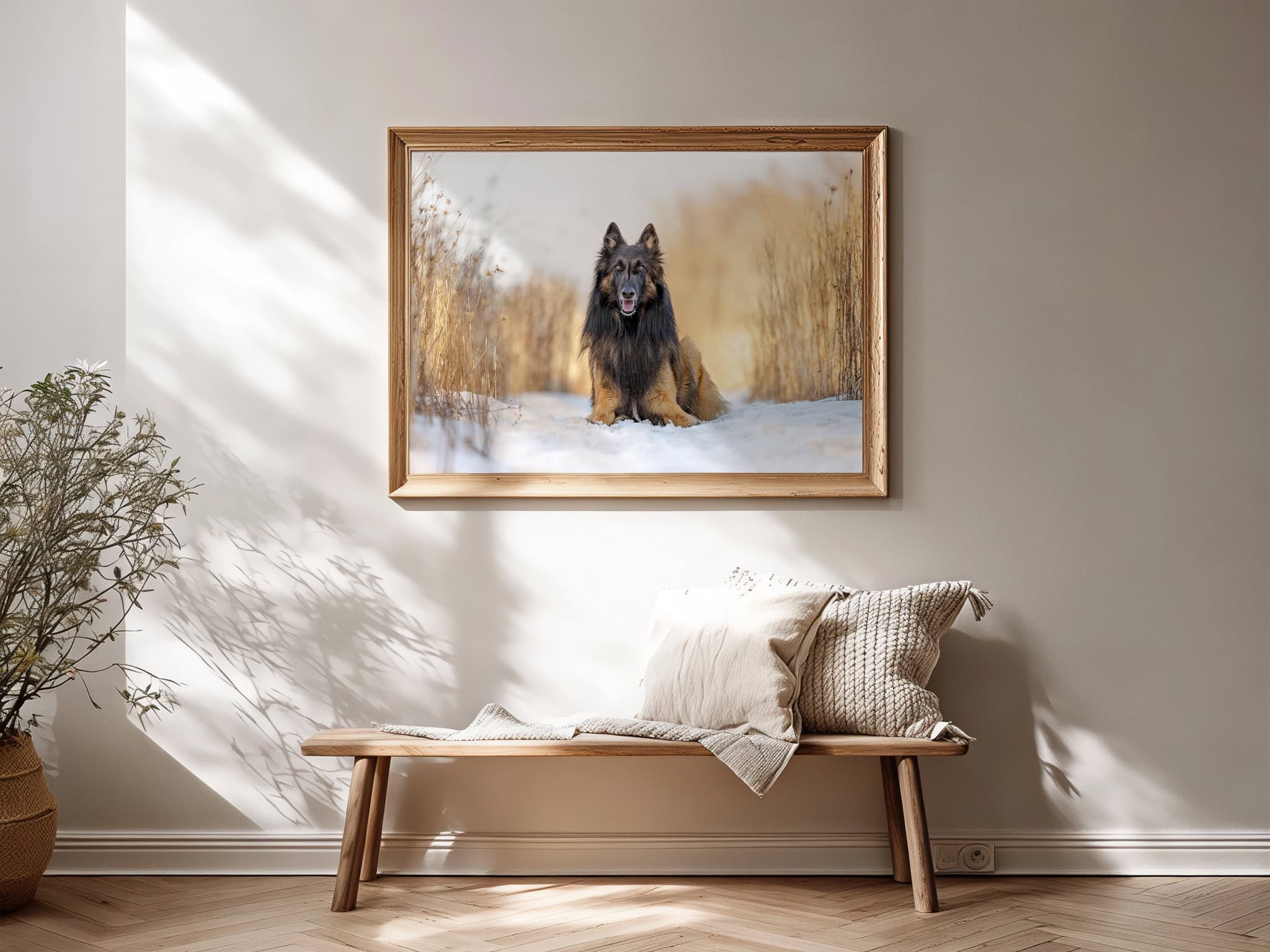 Elliot in a frame over bench