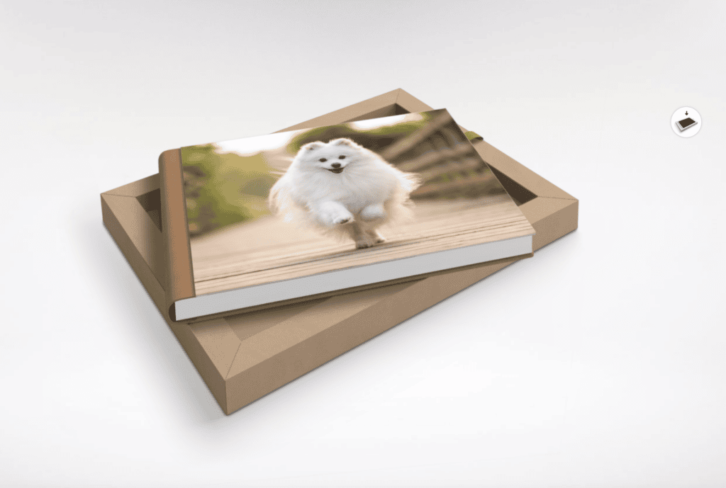 Screenshot 2024 10 26 at 5.53.26 PM