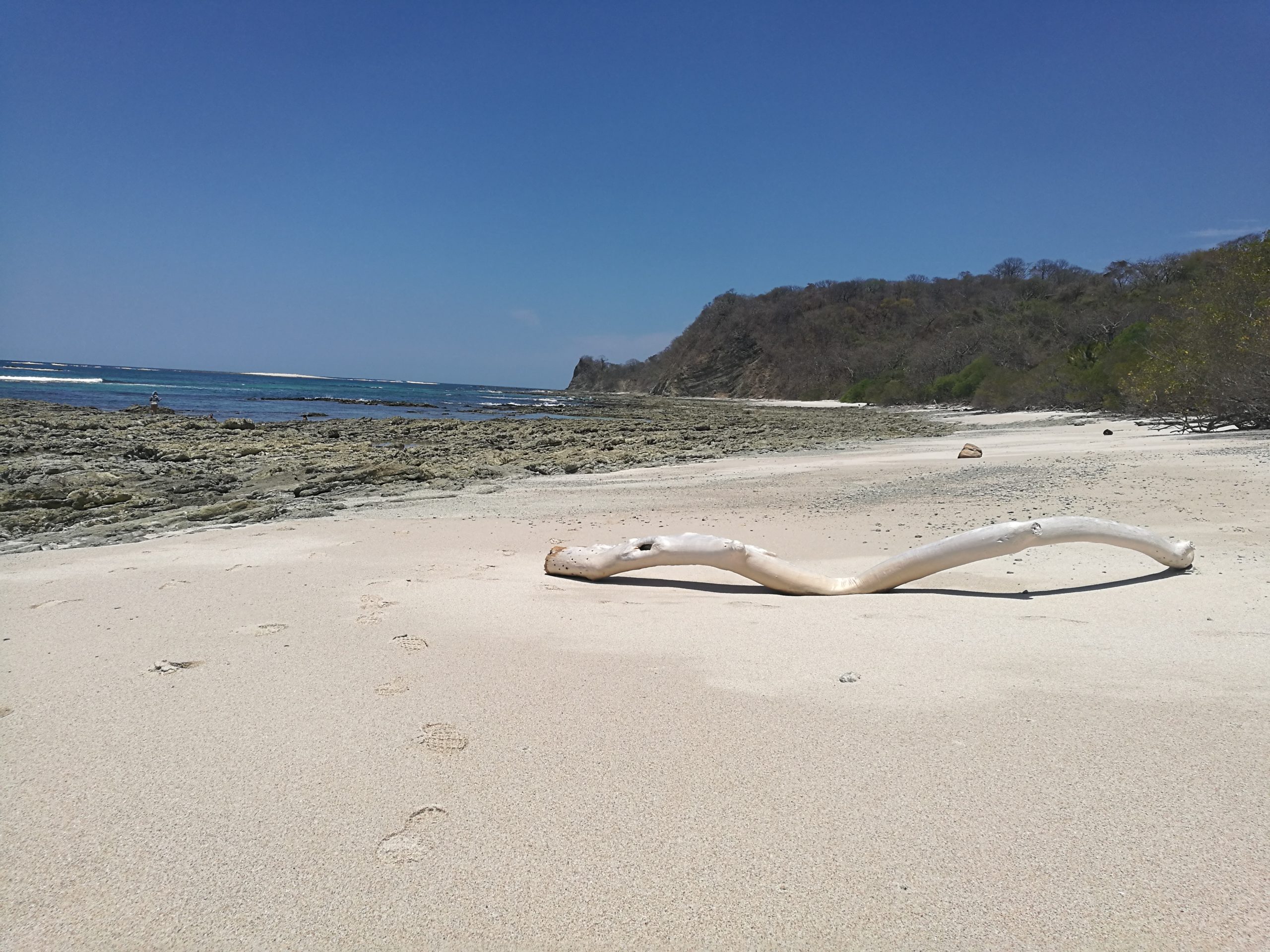 Nosara esconde una playa de color rosa´┐╝