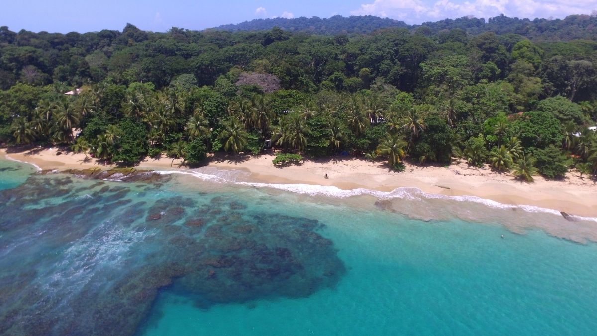 Arrecife: una piscina natural en el Caribe´┐╝