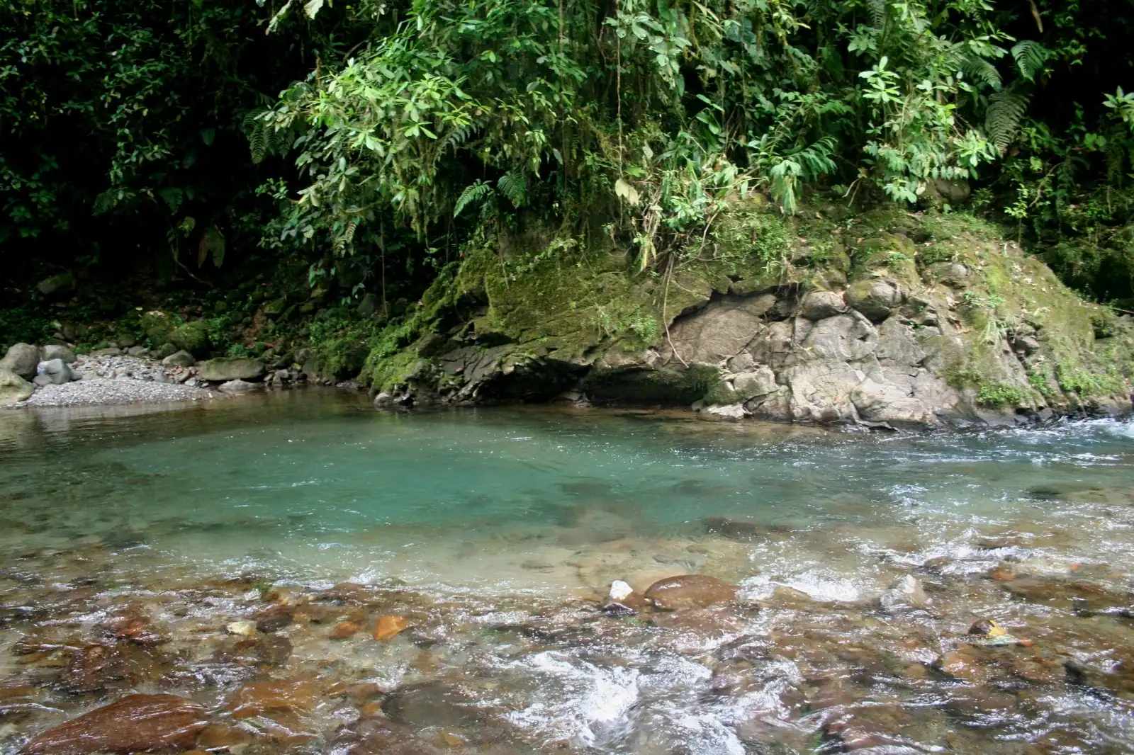 Refugio de Vida Silvestre La Marta: un tesoro escondido en Cartago