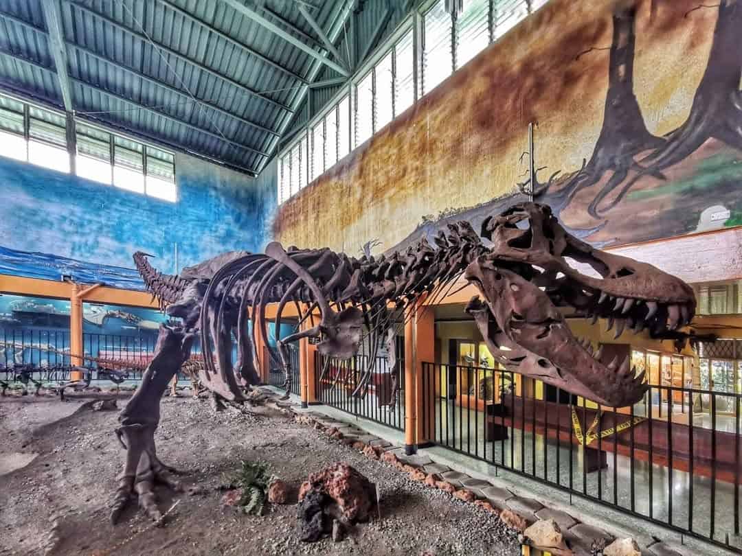 Museo de Ciencias Naturales La Salle: una aventura educativa en San Jos├®