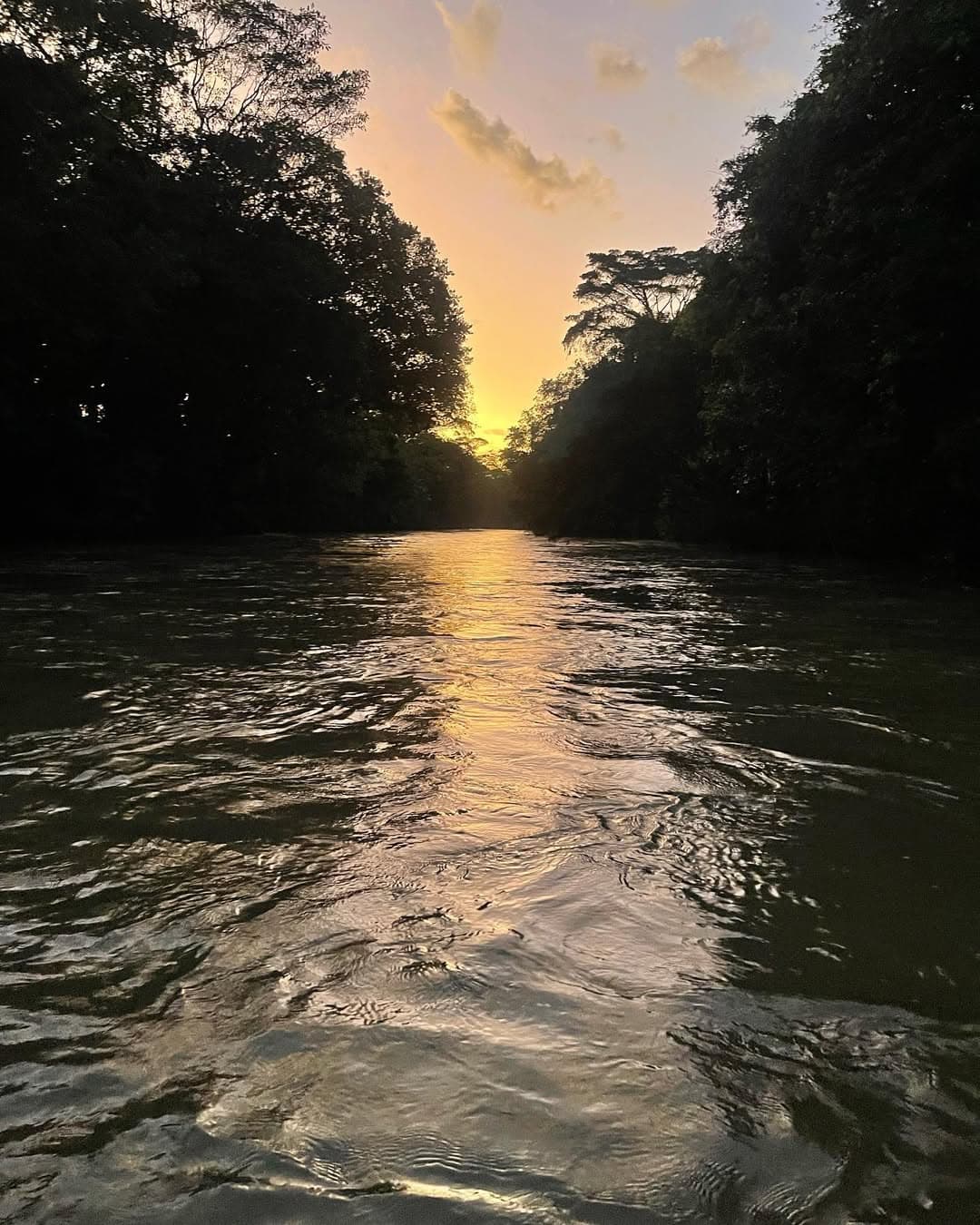 Río Peñas Blancas: aventura natural entre pozas y bosque nuboso