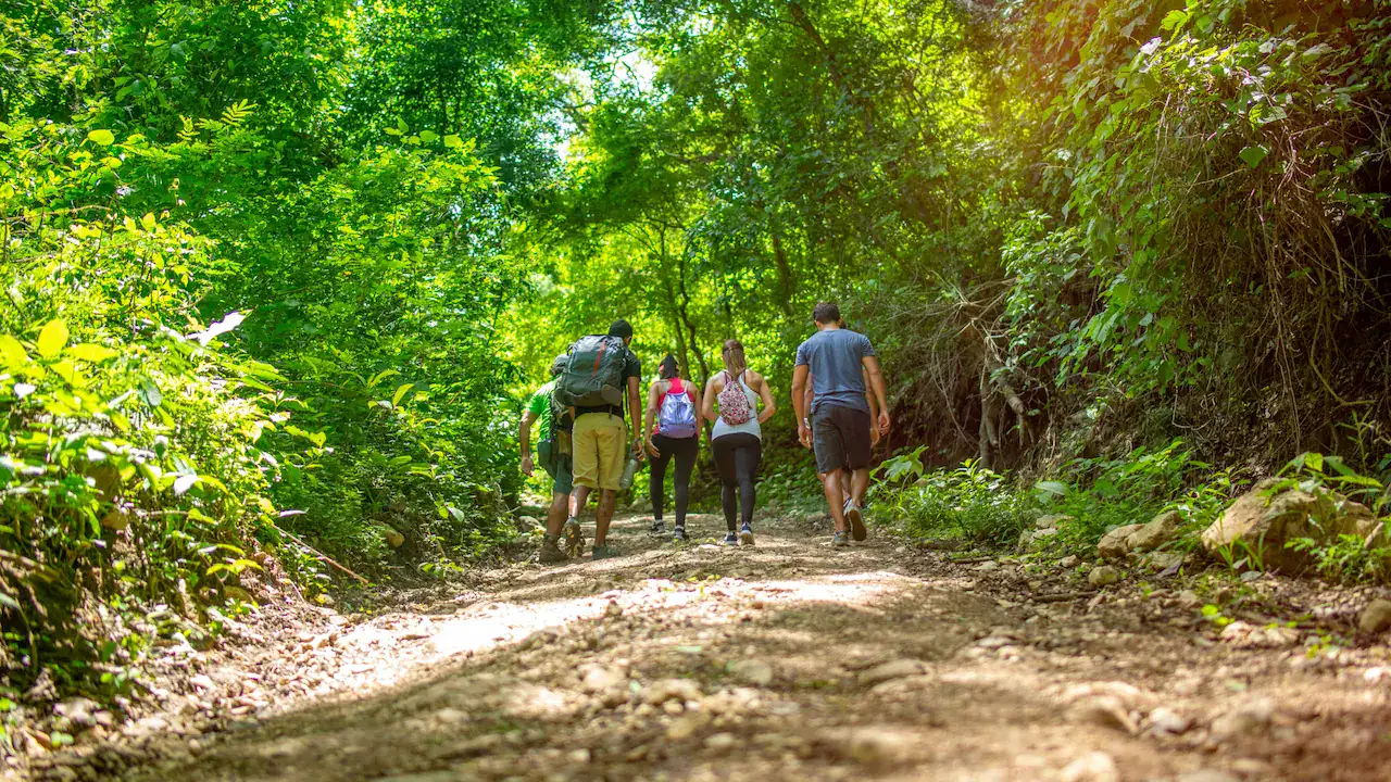 Estos son los parques nacionales que tenés que conocer en Guanacaste