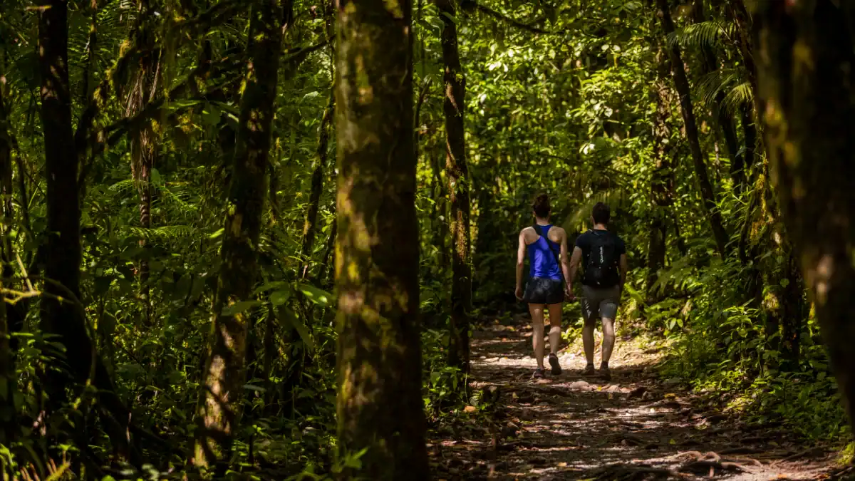 Dos personas caminando por un sendero en un bosque frondoso, rodeadas de árboles verdes y vegetación.