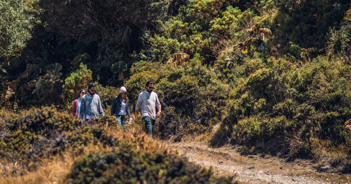 Cuatro personas caminando por un sendero en un entorno natural con vegetación.