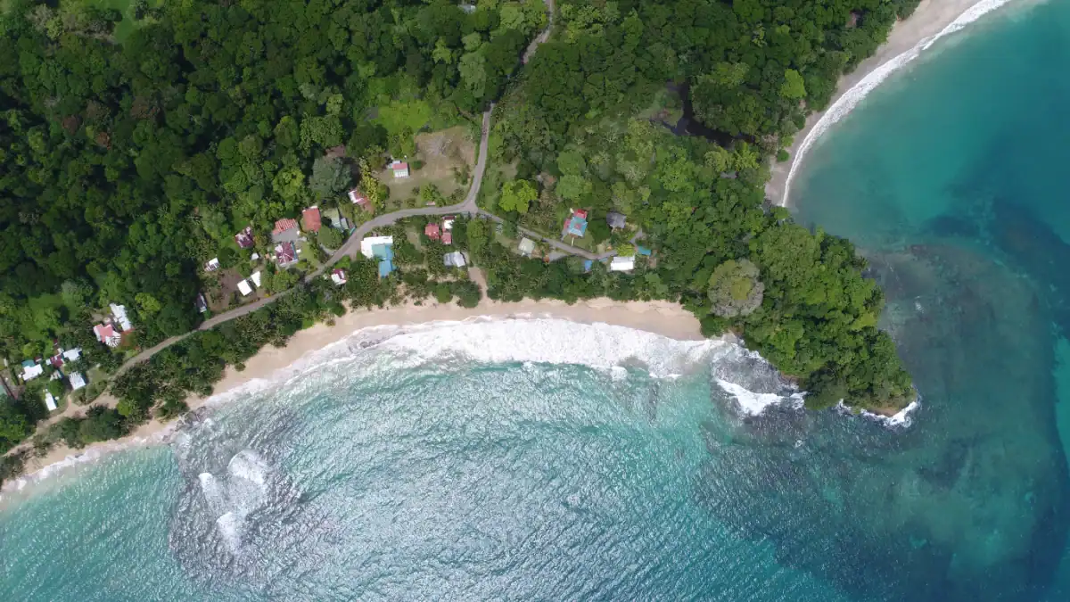Vista aérea de una playa rodeada de árboles y casas, con agua azul y olas rompiendo en la orilla.