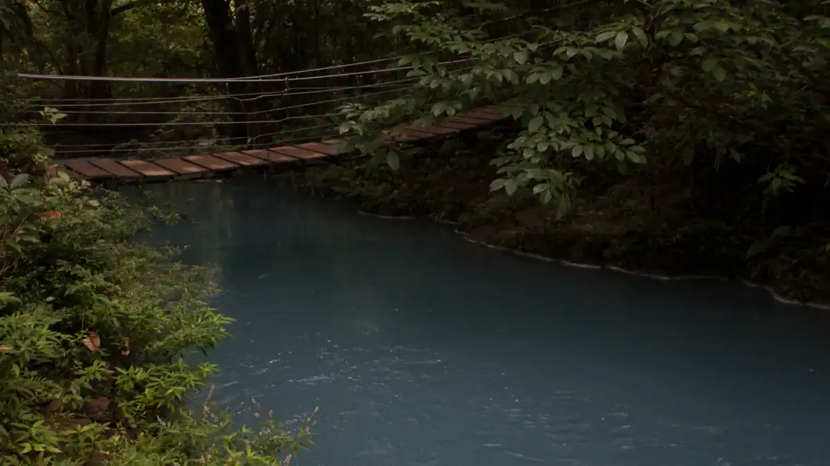 Puente colgante sobre río en un entorno forestal, con árboles verdes y agua azul.