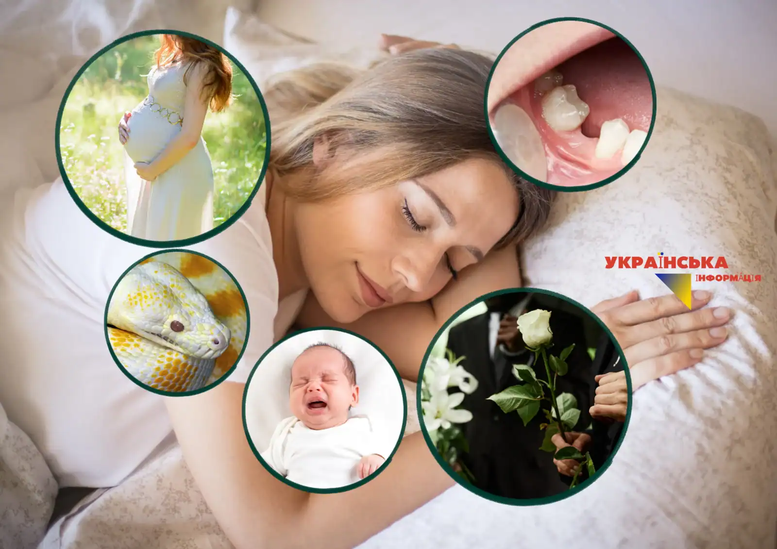 What do our dreams mean: snake, pregnancy, teeth, ex, children crying