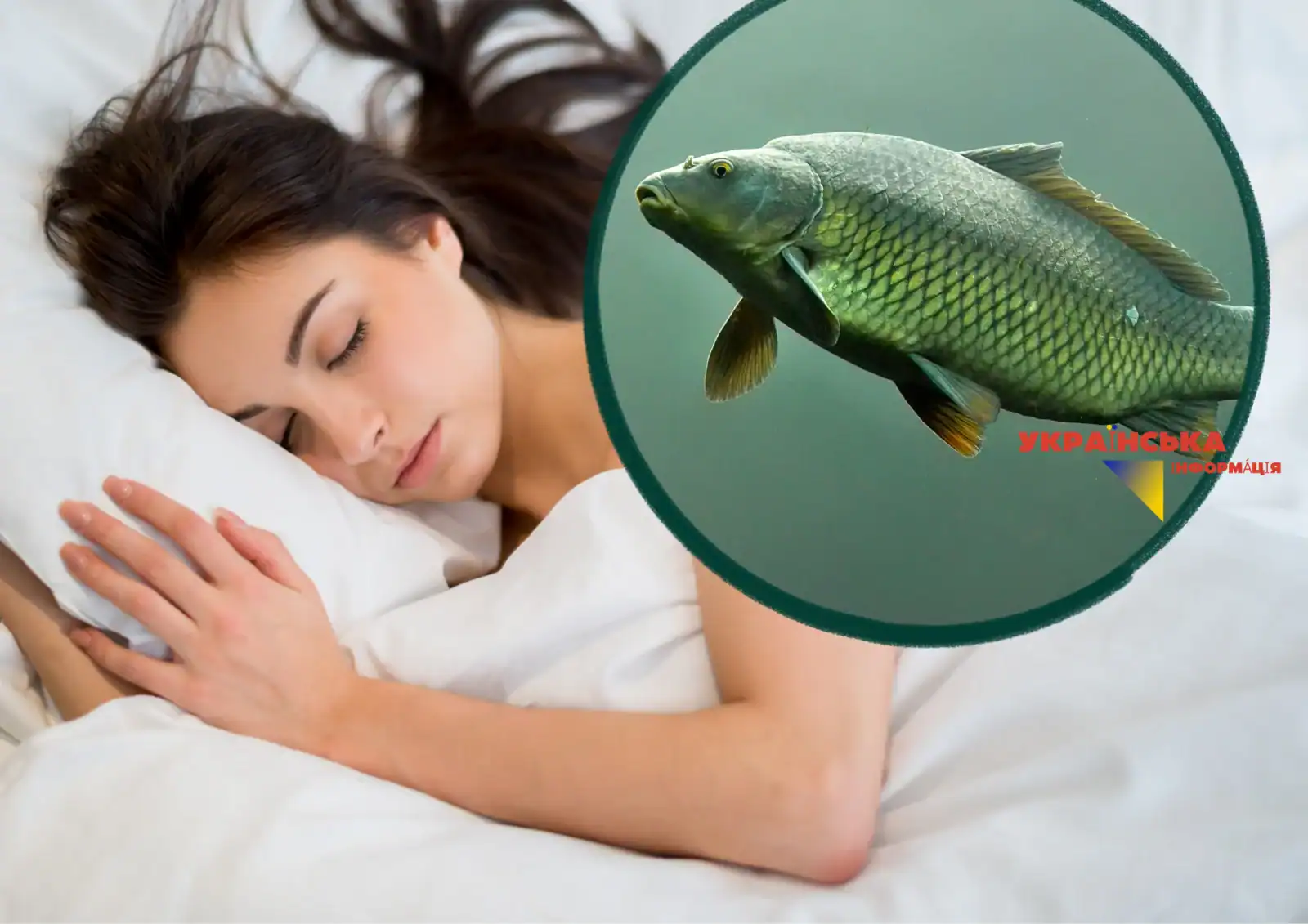What does fish dream about: a complete interpretation of dreams for women and men