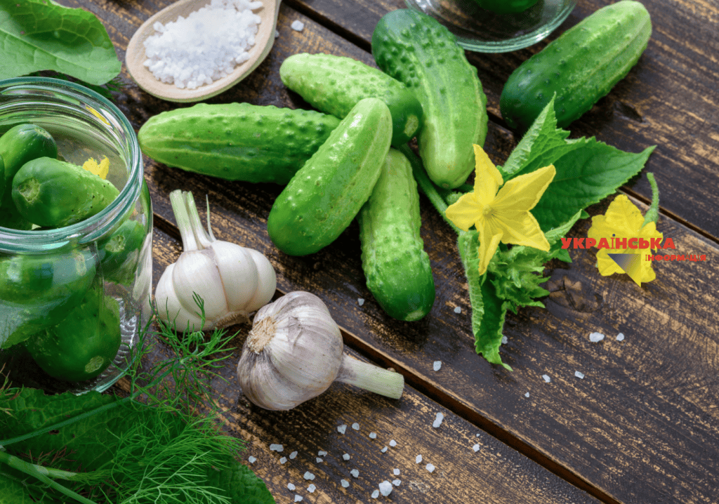 The photo shows the process of selecting ideal cucumbers for canning.