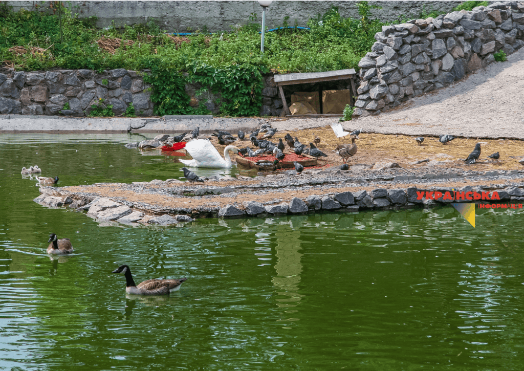 Summer heat in Kharkiv in August