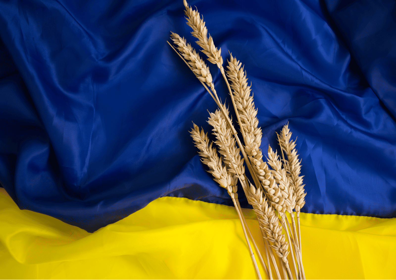 A selection of 31 congratulations on the Day of the National Flag of Ukraine in pictures, prose and poems