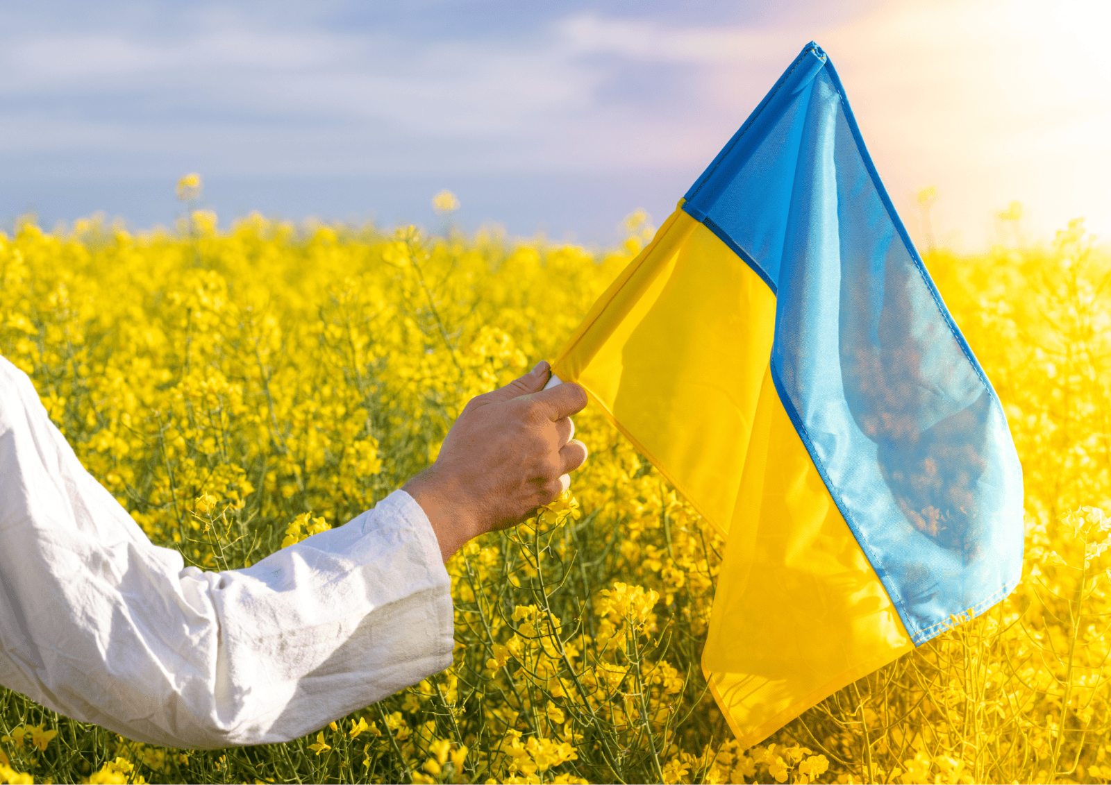 Happy Independence Day of Ukraine 2026! The best greetings in verse, prose and patriotic cards for Viber
